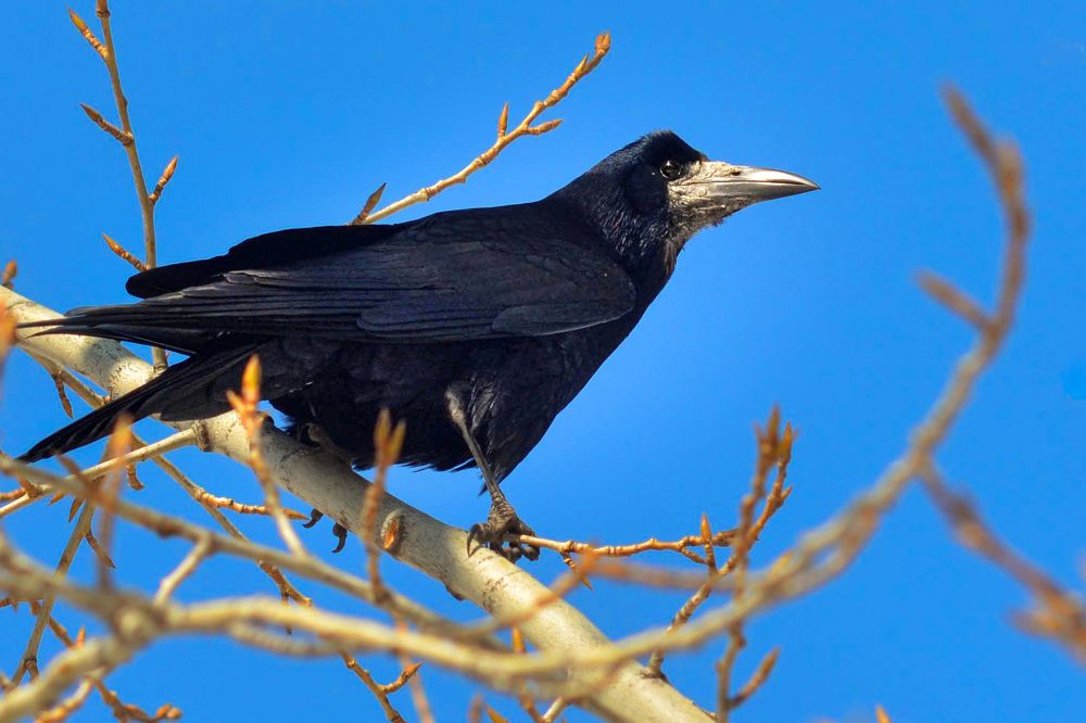 "С прилётом!"