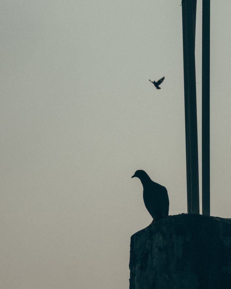 Photograph by Kumar Pushpam
