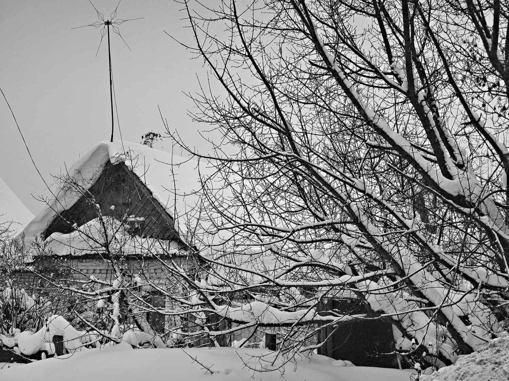 Photograph by Игорь Пшеничников