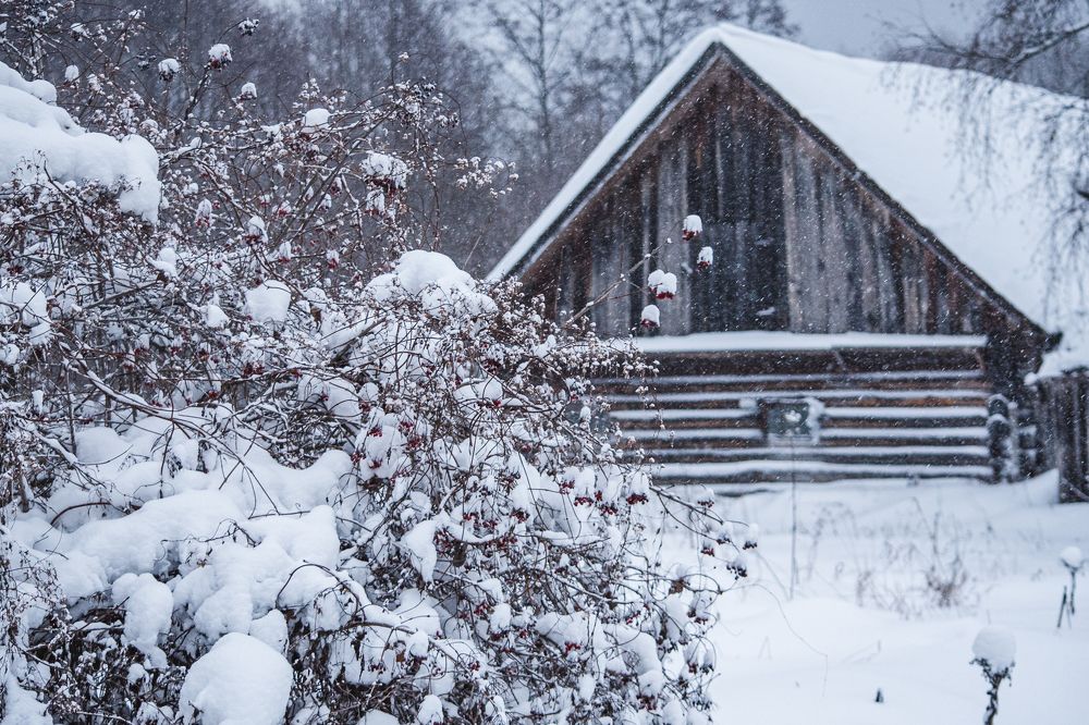 Photograph by Мария Илларионова