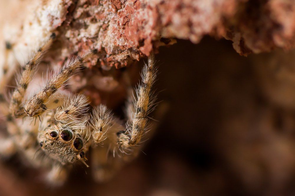 Photograph by Maksim Zhdanovich