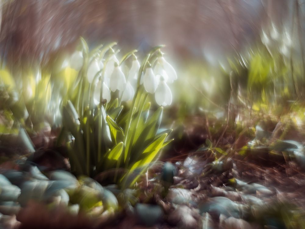 Photograph by Анатолий Щербак