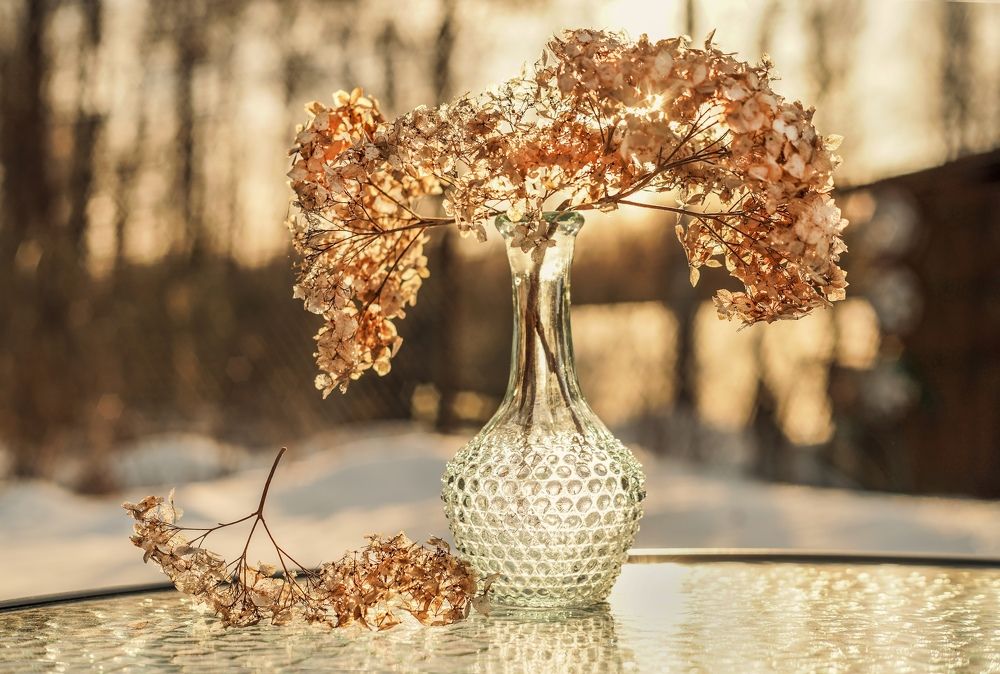 Photograph by Татьяна Александрова