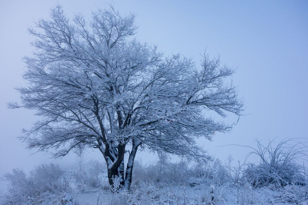 Photograph by Сергей Зуденко