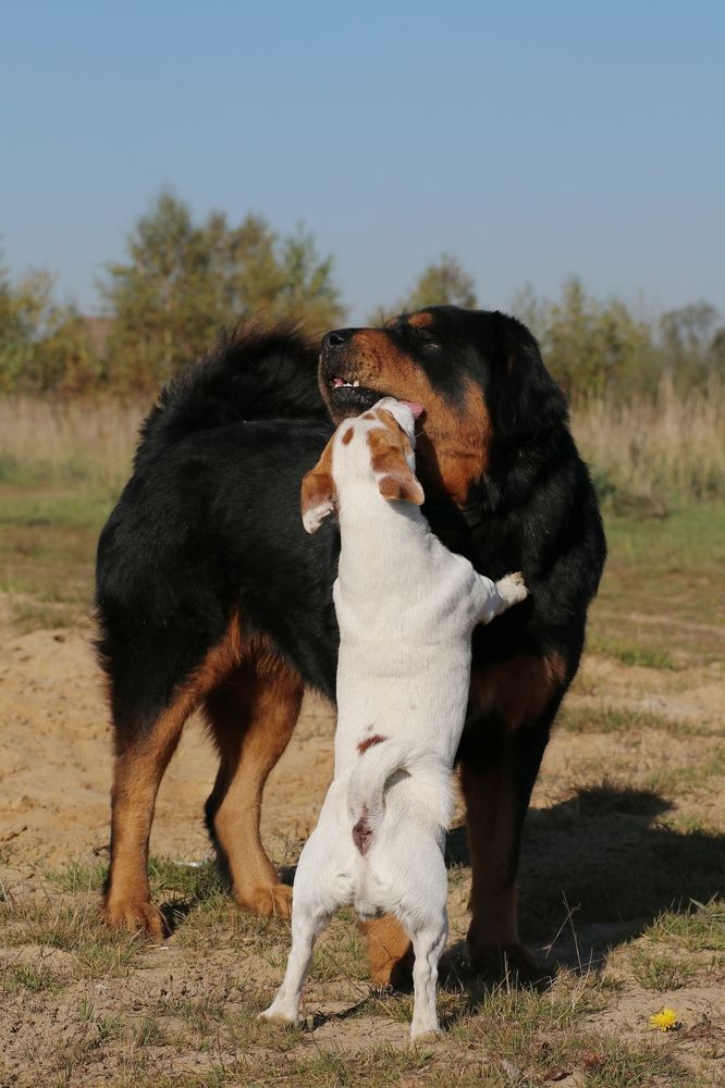 Photograph by Светлана Богомолова