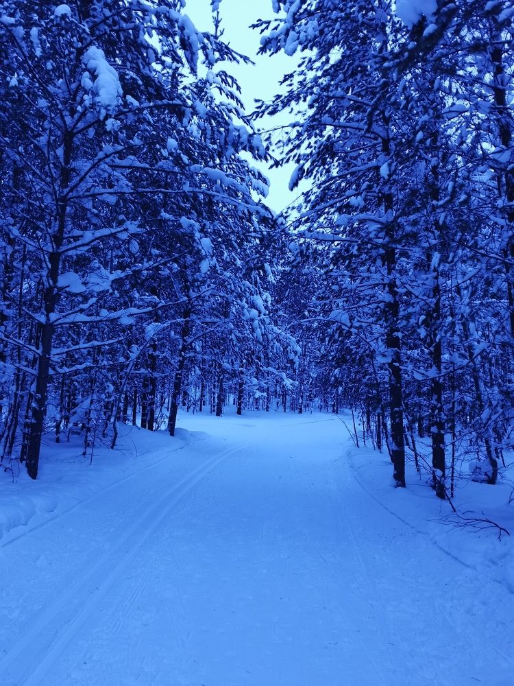 Photograph by Липицкая Ирина