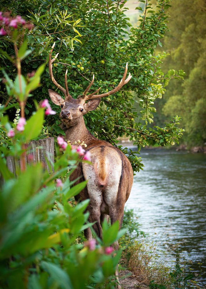 Photograph by Sergiu Vasile Bejan