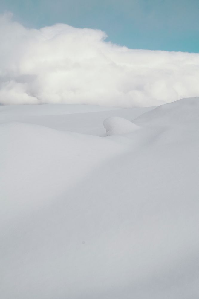 Фотография автора Polina  Kalashnikova