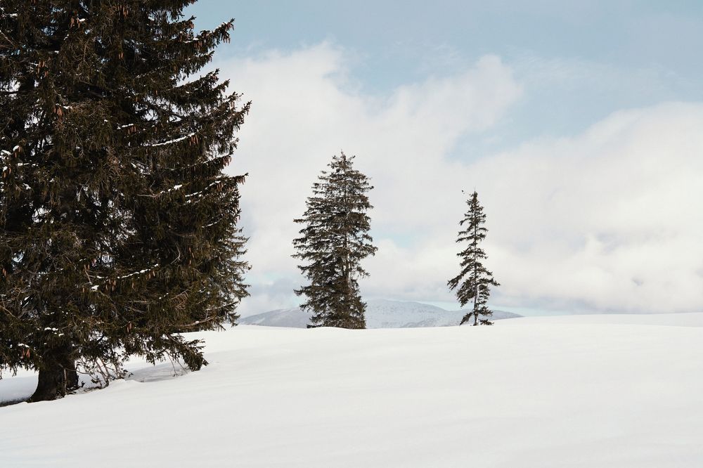 Фотография автора Polina  Kalashnikova