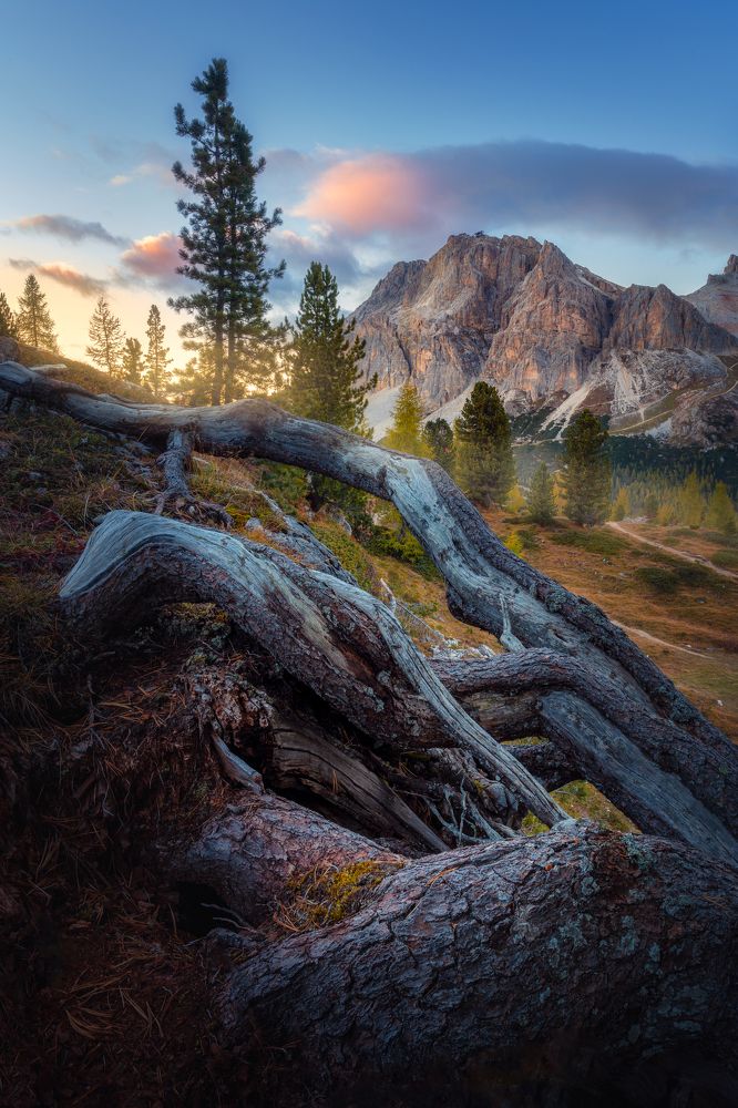 On the shore of the Lago di Limides
