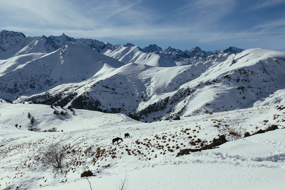 Photograph by Зоя Ципельштейн