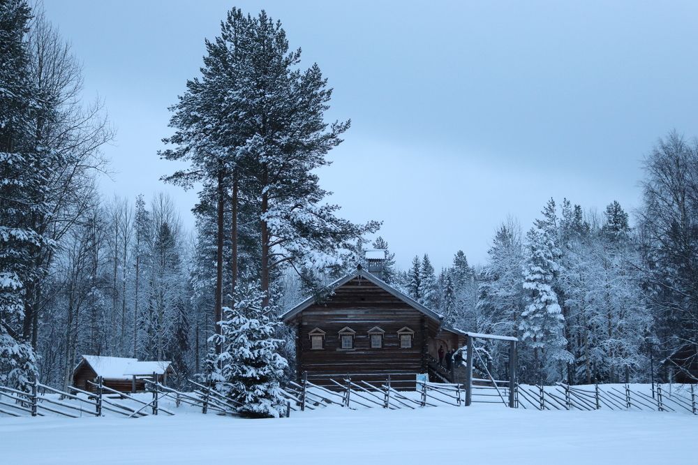 Photograph by Елена Молоканова