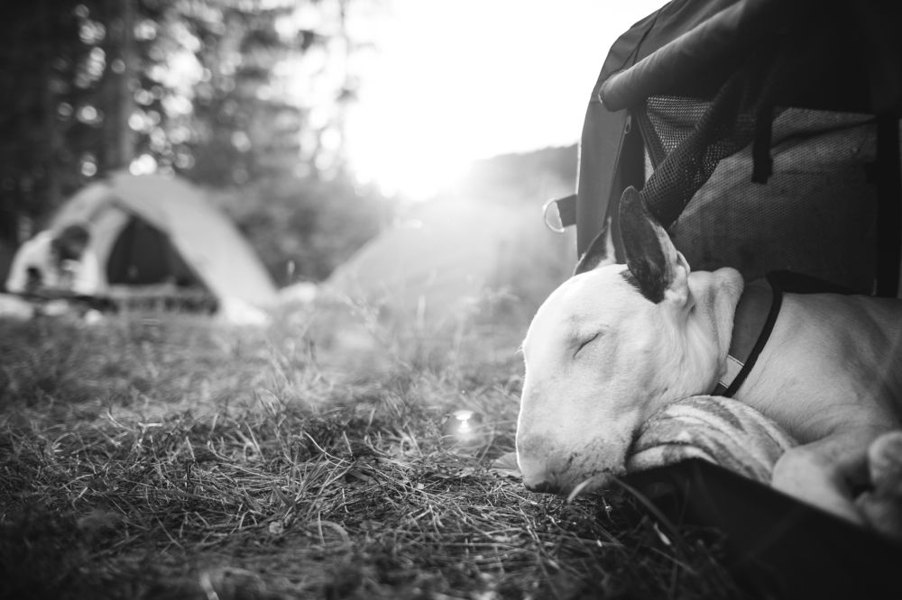 Photograph by Monika Kučerová