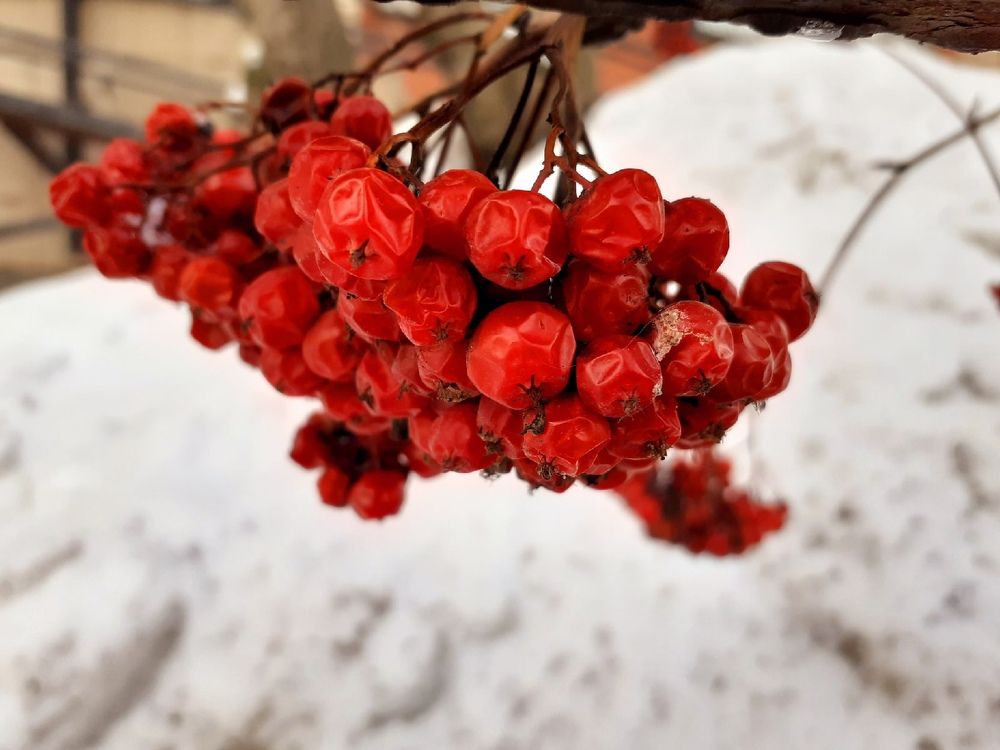 Photograph by Евгения Ульянова