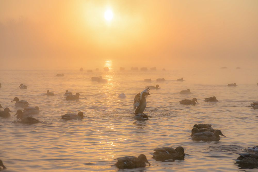 Photograph by Александр Глебов