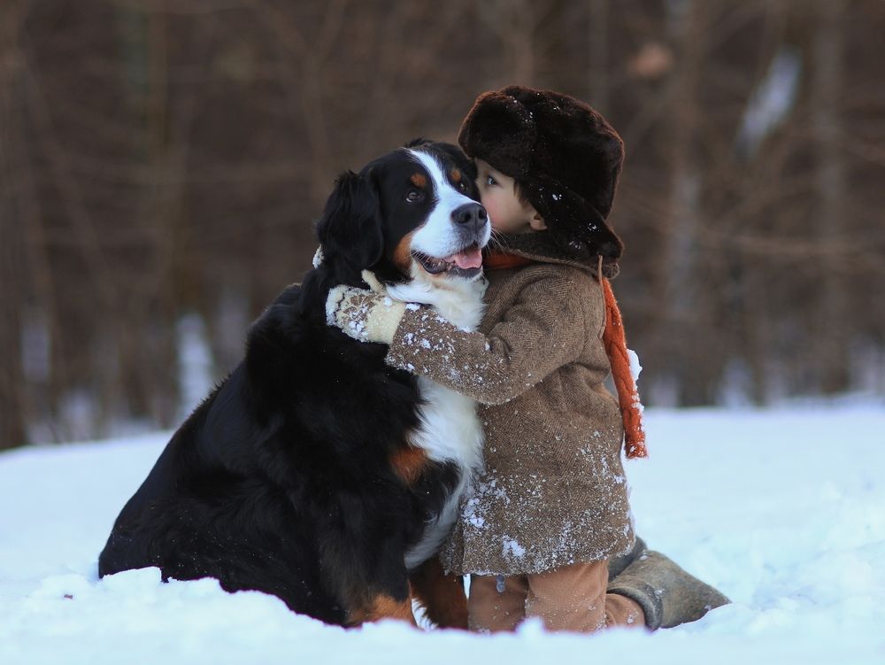 Photograph by Сахарова Анна