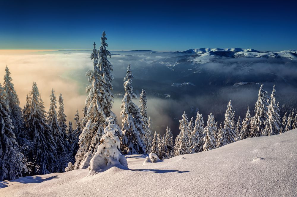 Under the snow cover