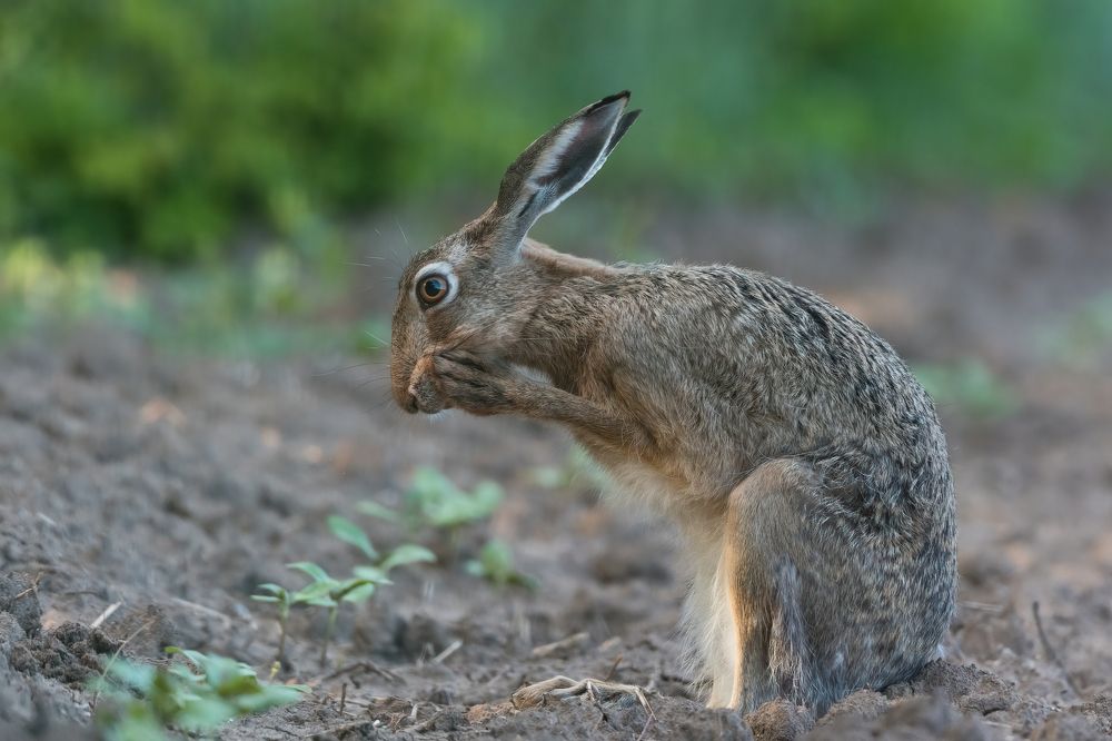 Photograph by Антон Мостовенко
