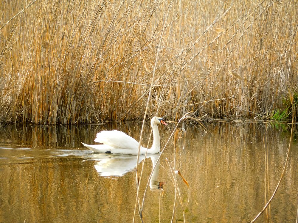 Photograph by Юлия Закопайло