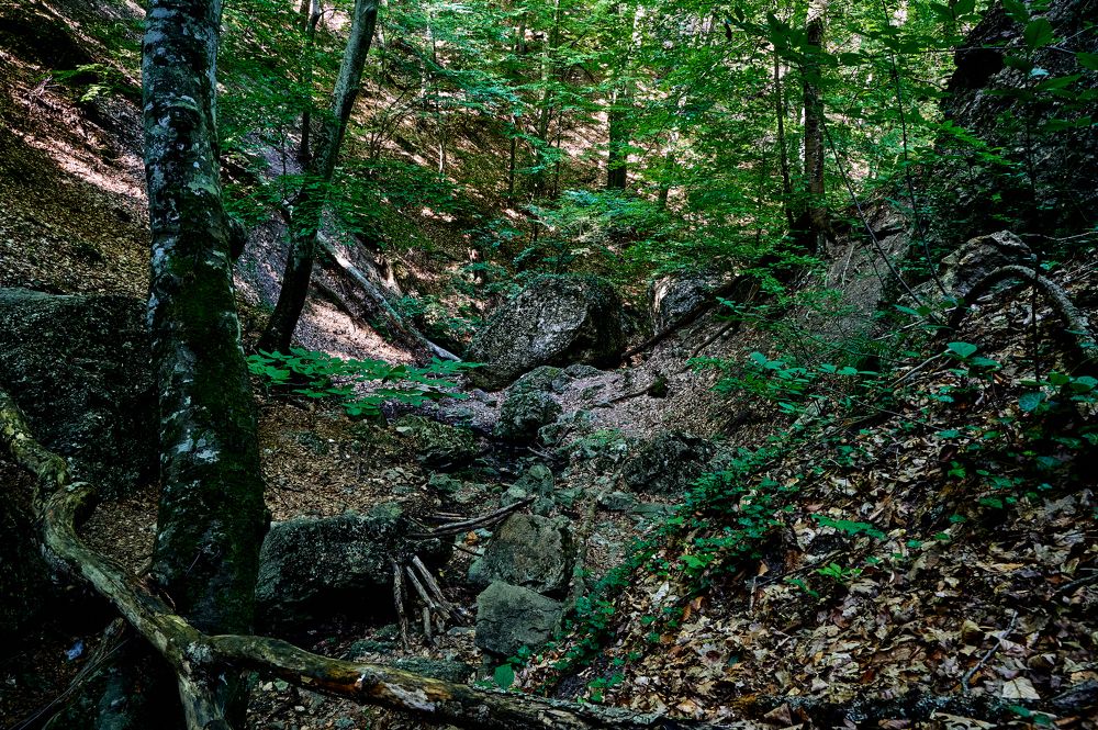 Photograph by Роман Зыков