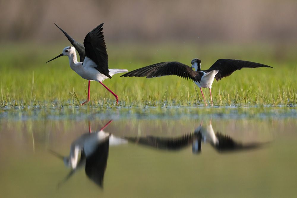 Photograph by Антон Мостовенко