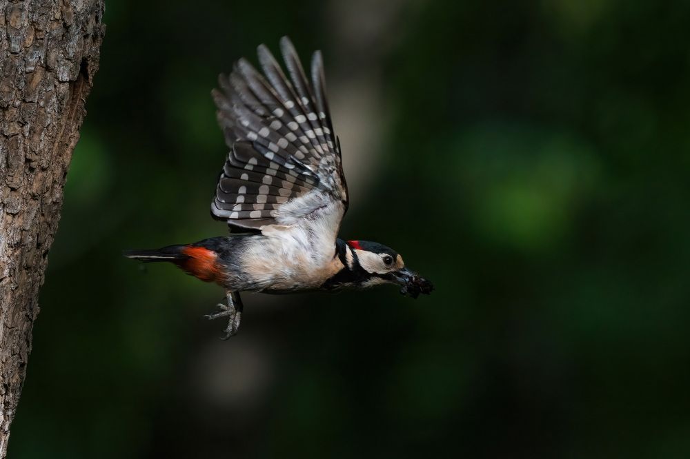 Photograph by Антон Мостовенко