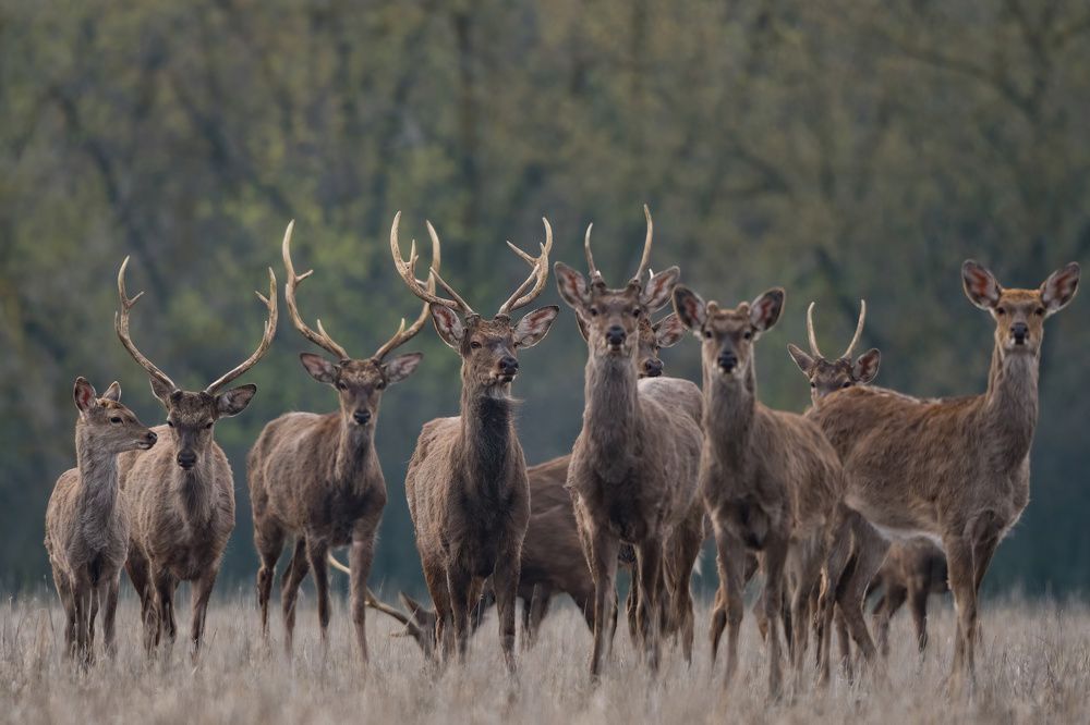Photograph by Антон Мостовенко