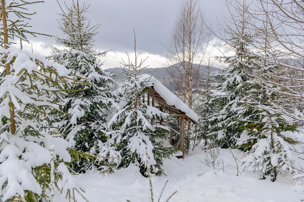 Photograph by Яна Украинец