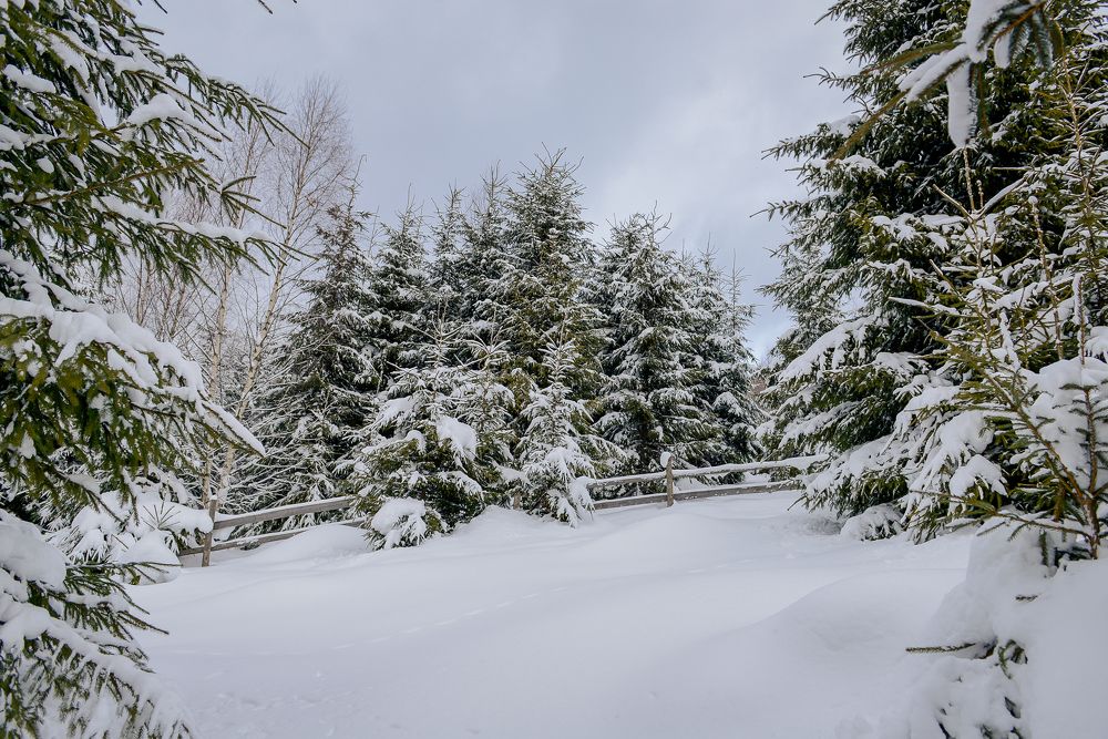 Photograph by Яна Украинец