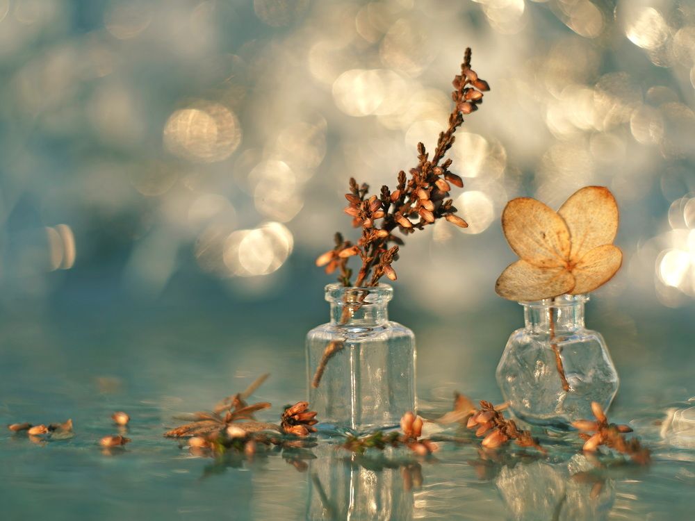 Photograph by Татьяна Александрова