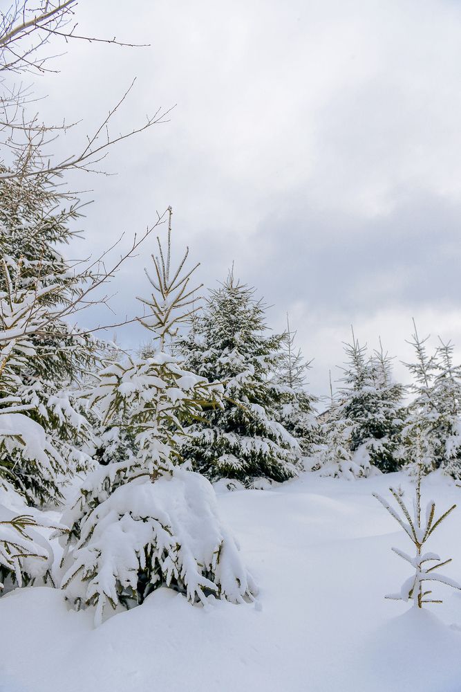 Photograph by Яна Украинец