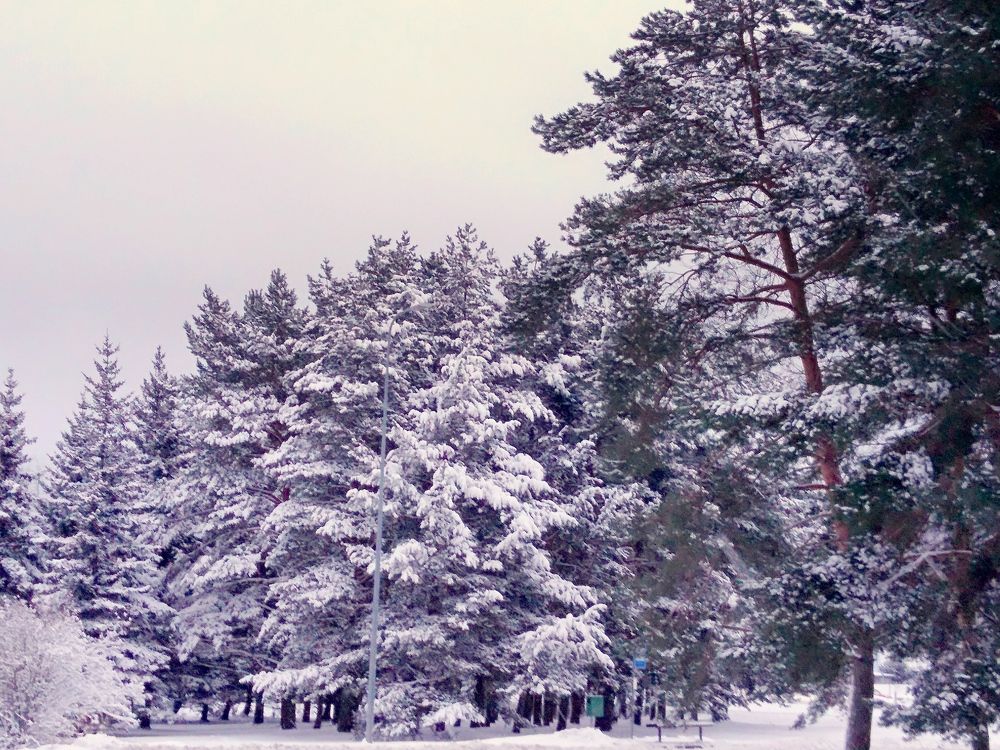 Photograph by Mарина Лесницкая