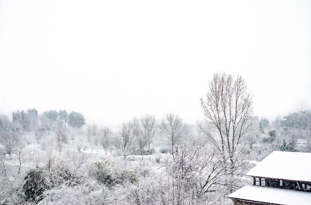 Фотография автора Темур Цивадзе