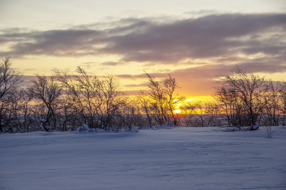 Photograph by Alena Poklonskaia