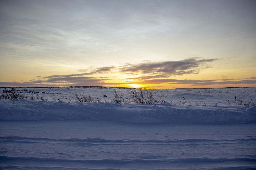 Photograph by Alena Poklonskaia