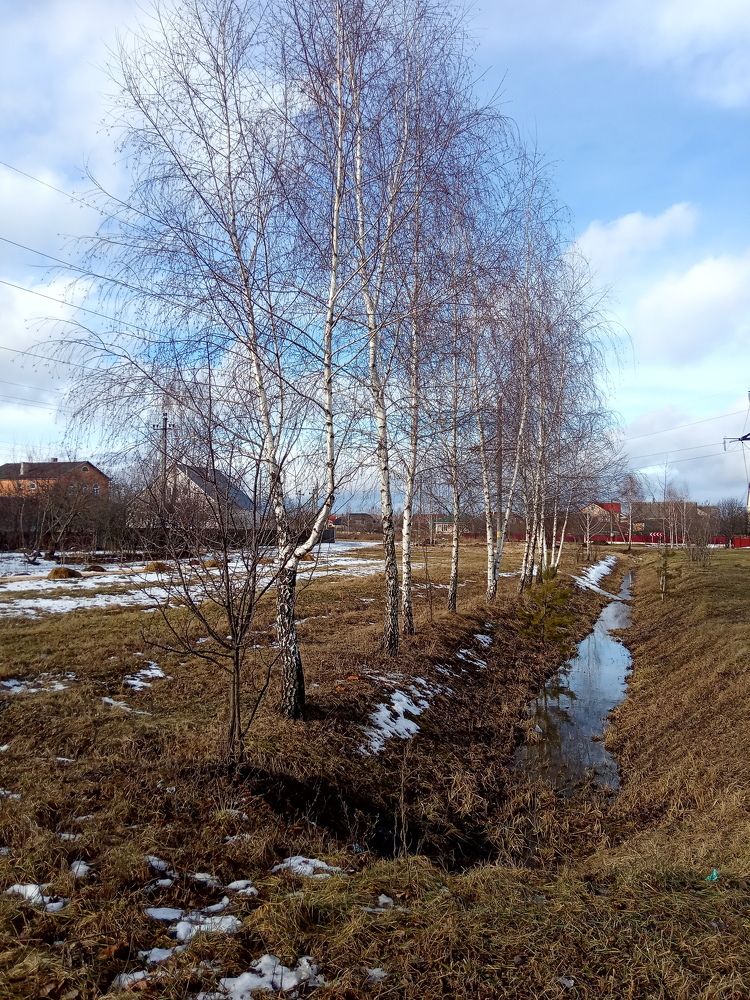 В ожидании весны