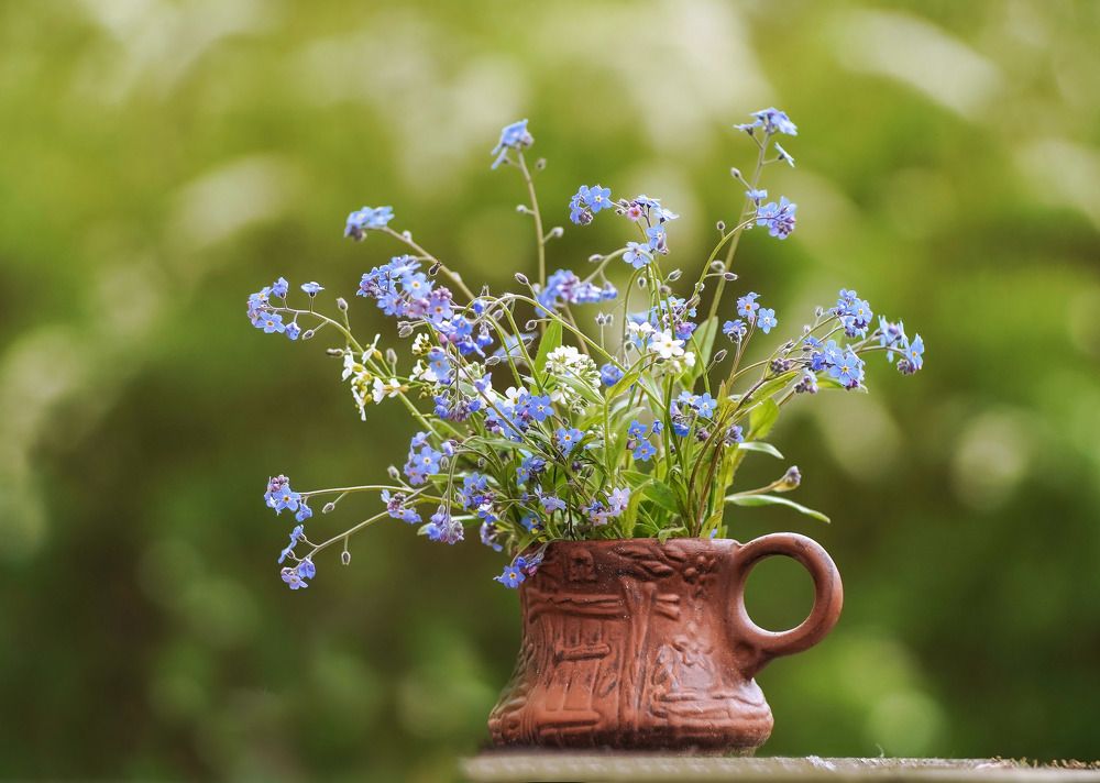 Photograph by Татьяна Александрова
