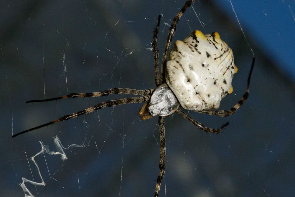 Photograph by Rimma Volchenko