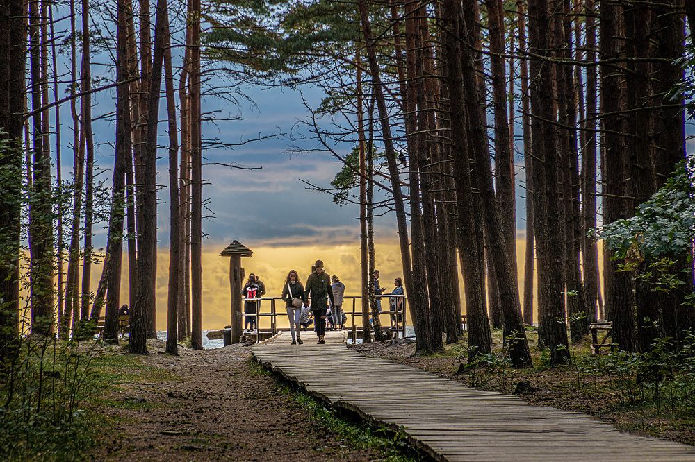 Photograph by Anzela Bazyk