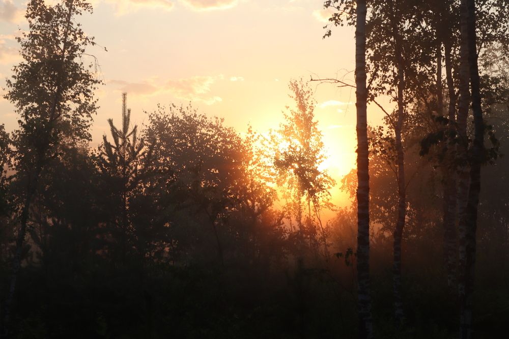 Фотография автора Анастасия Богдан