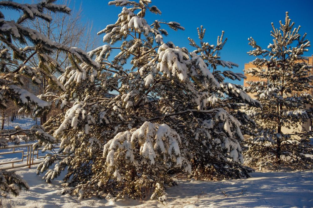 Photograph by Мария Сычёва