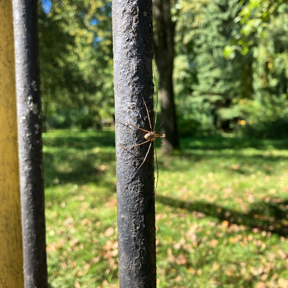 Photograph by Марина Иванова