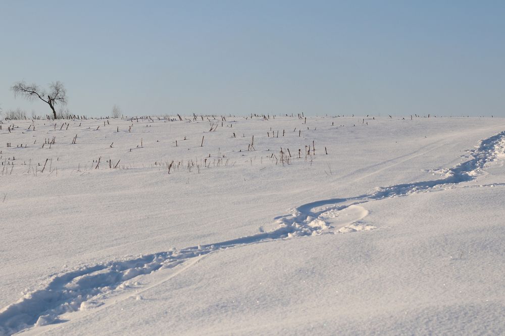 Фотография автора Ольга Никанович