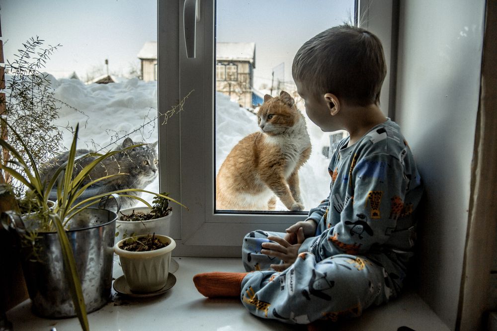 Photograph by Инна Тычная