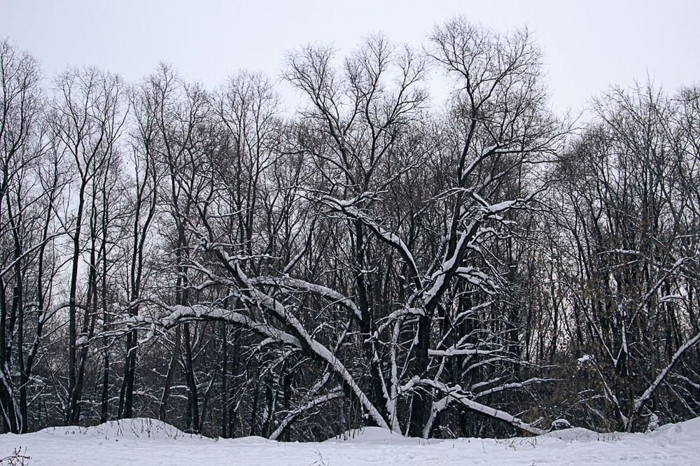 Фотография автора Екатерина Першина