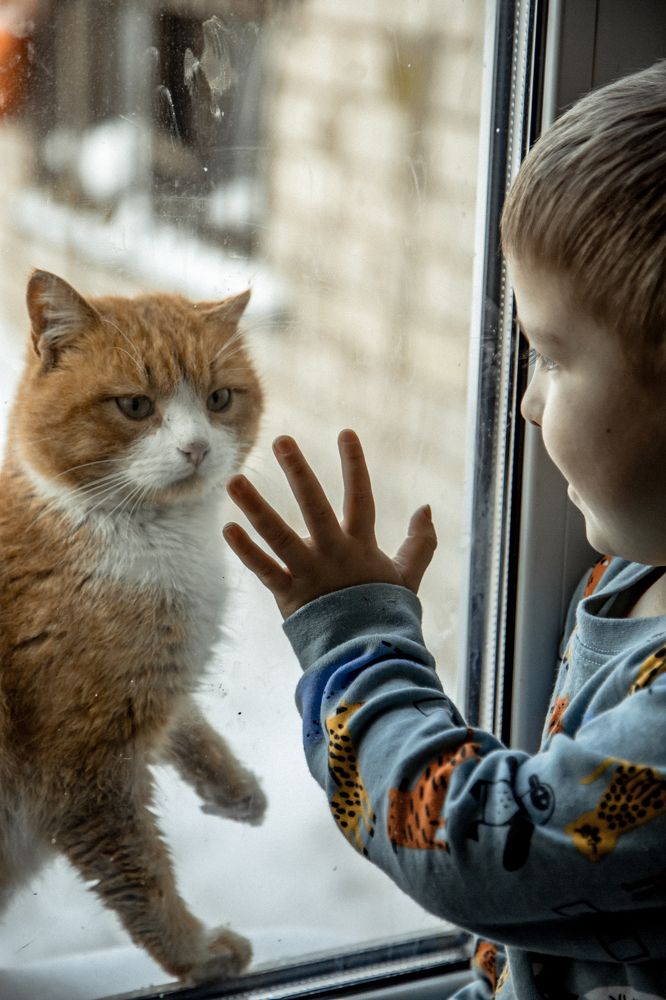 Photograph by Инна Тычная