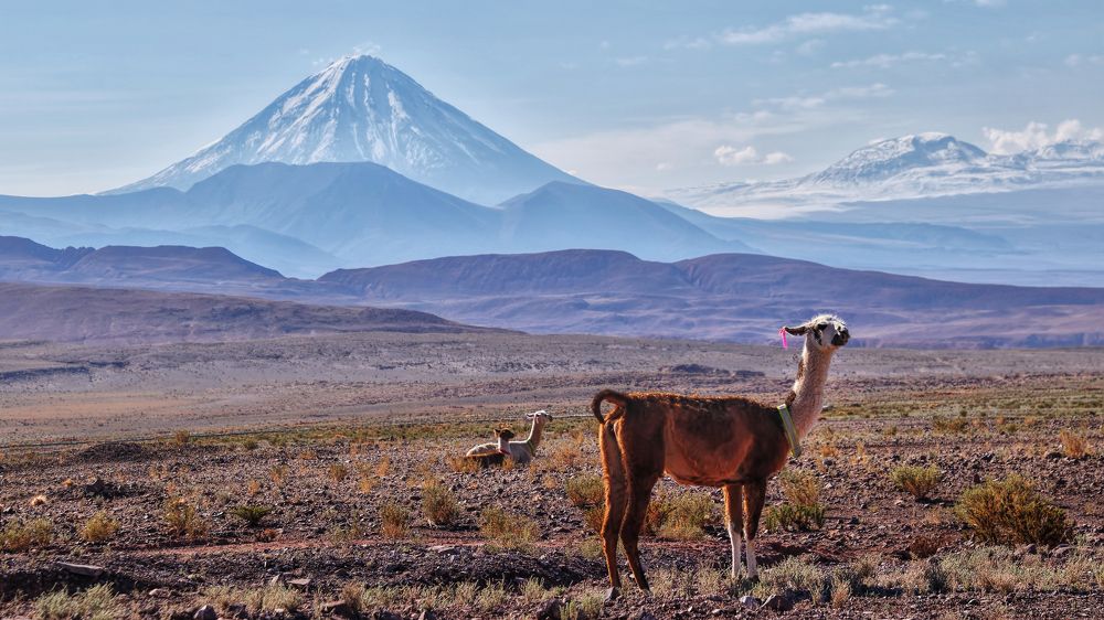 Licancabur volcano