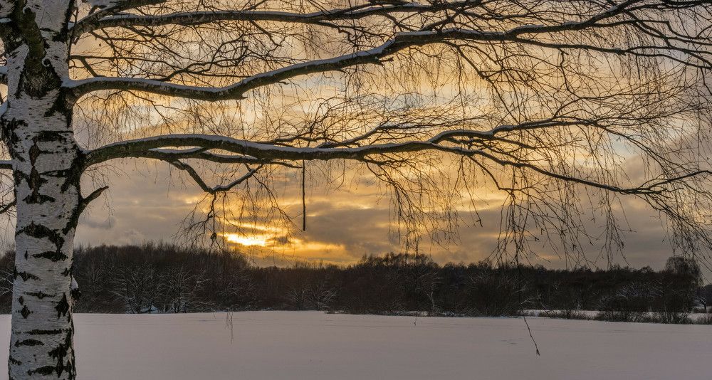 Фотография автора Александр Стоялов