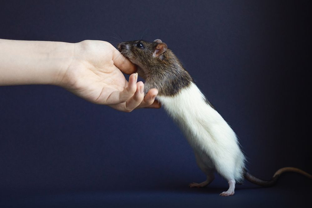 Photograph by Владислава Протащик