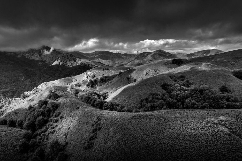 Photograph by GRISOT Thierry